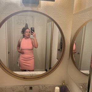 Aritzia babaton pink sculpt dress